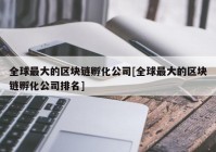 全球最大的区块链孵化公司[全球最大的区块链孵化公司排名]