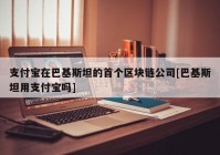 支付宝在巴基斯坦的首个区块链公司[巴基斯坦用支付宝吗]